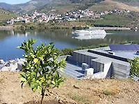 Folgosa Douro Hotel 3*