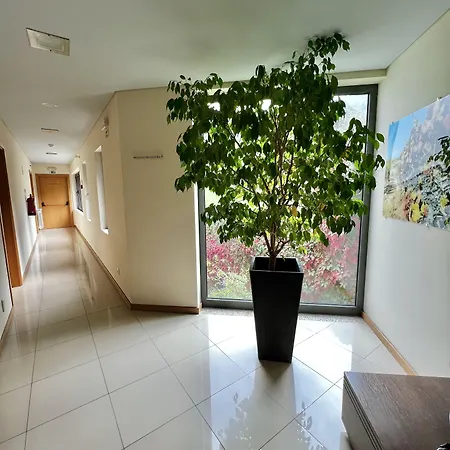 Folgosa Douro Armamar