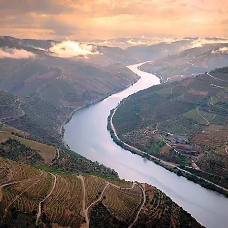 Folgosa Douro Armamar