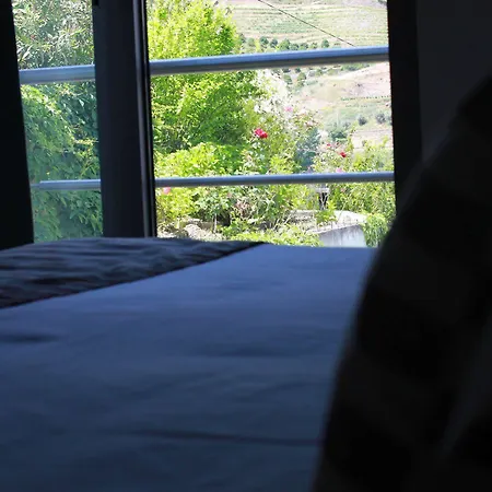 Folgosa Douro Hotel