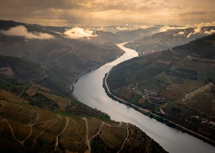 Hotel Folgosa Douro 3*